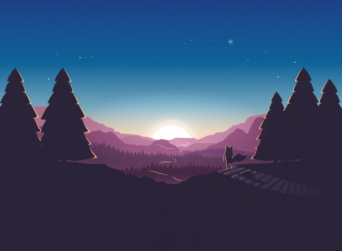 Wallpaper forest, sunset, fox, 4k, Abstract 769388448